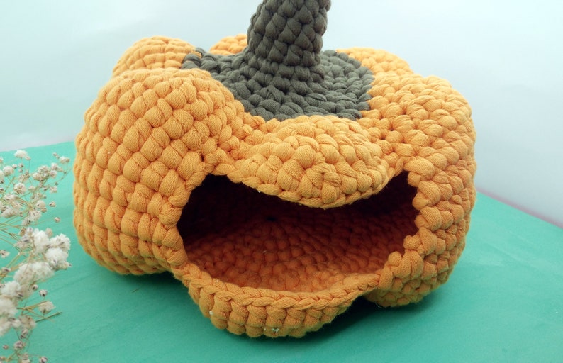 Pumpkin house for guinea pig small pet. Funny Halloween house Etsy