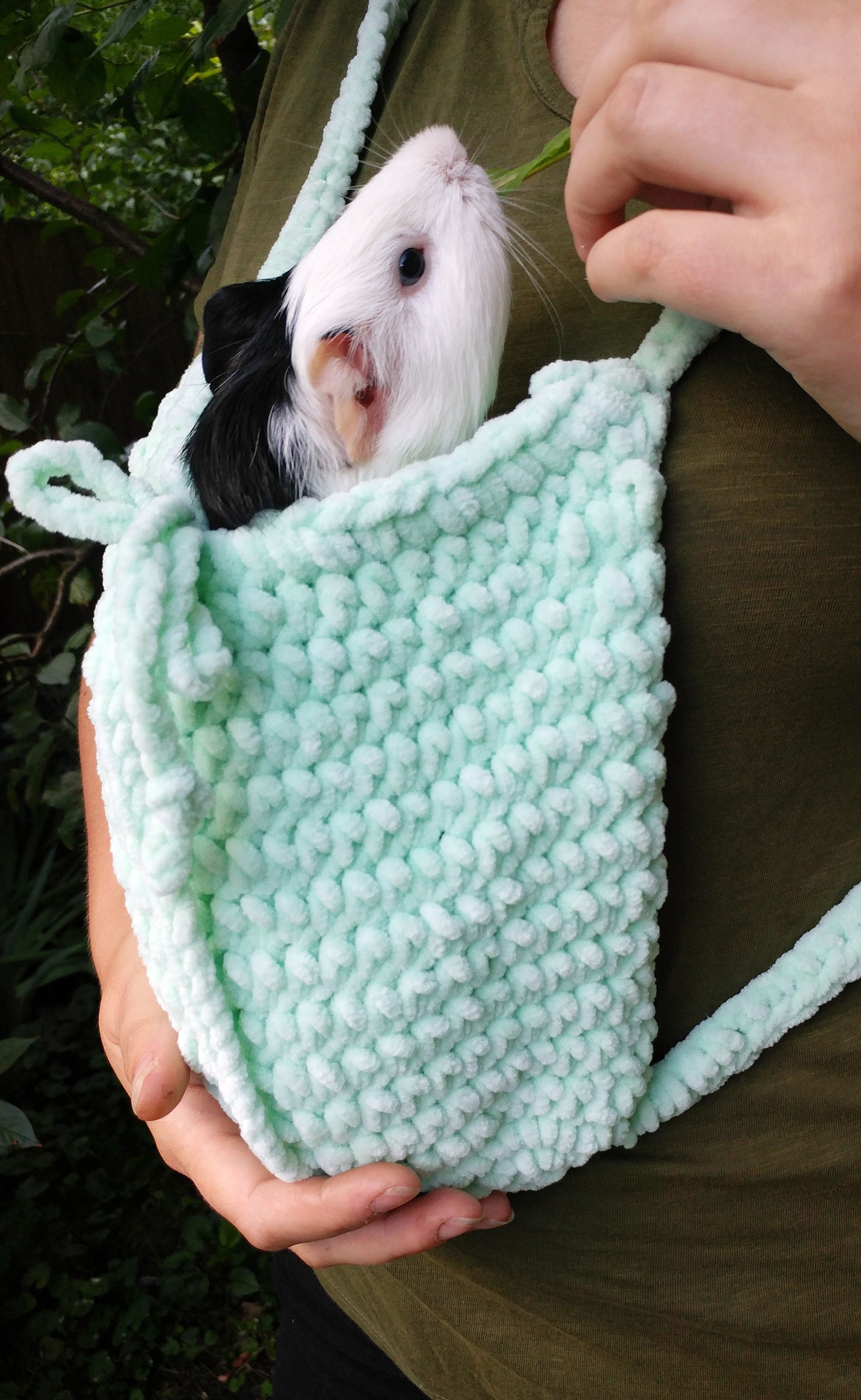Guinea Pig Mint Carrier. Small Pet Soft Cozy Carrier. Etsy