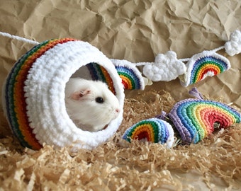 Set of 4pcs Rainbow accessories for guinea pig in cage - Rainbow pet accessories - Funny guinea pig gift