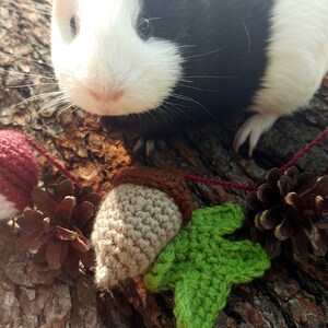 Peut inclure: Un cochon d'Inde noir et blanc assis sur un tronc d'arbre avec une d&eacute;coration en crochet en forme de gland et de feuille.