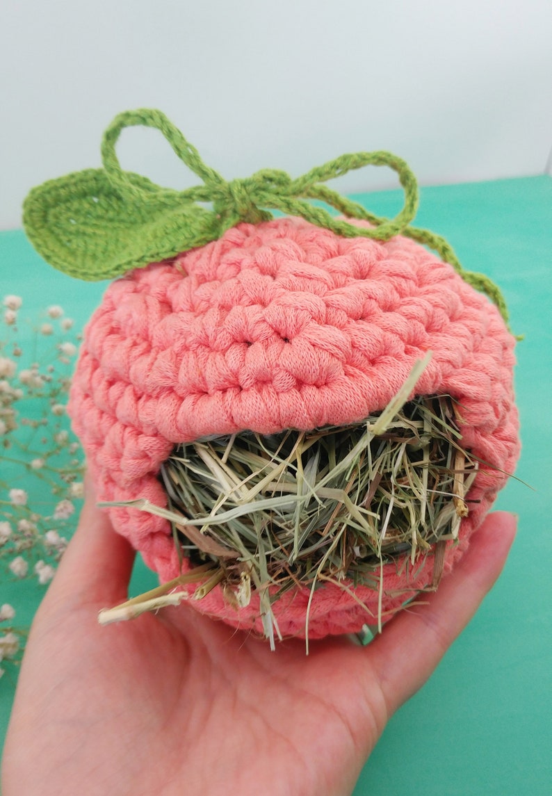Guinea pig hay feeder. Guinea pig apple hay bag. Small pet Etsy