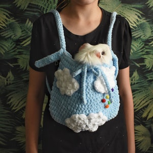 Guinea Pig Carrier: Blue Plush Bonding Pouch with Clouds & Rainbow