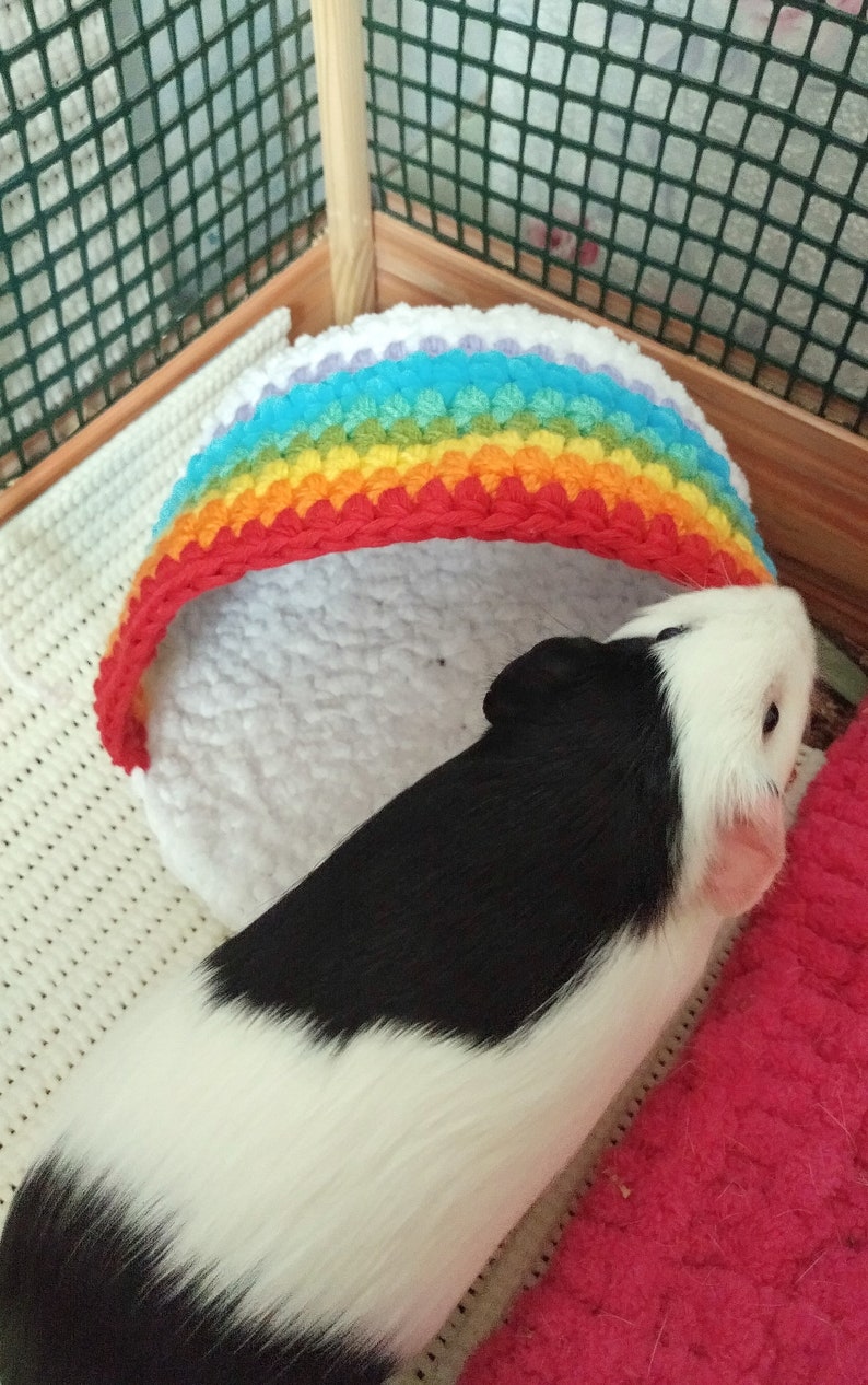 Rainbow guinea pig bed house Cozy small pet gift idea | Etsy