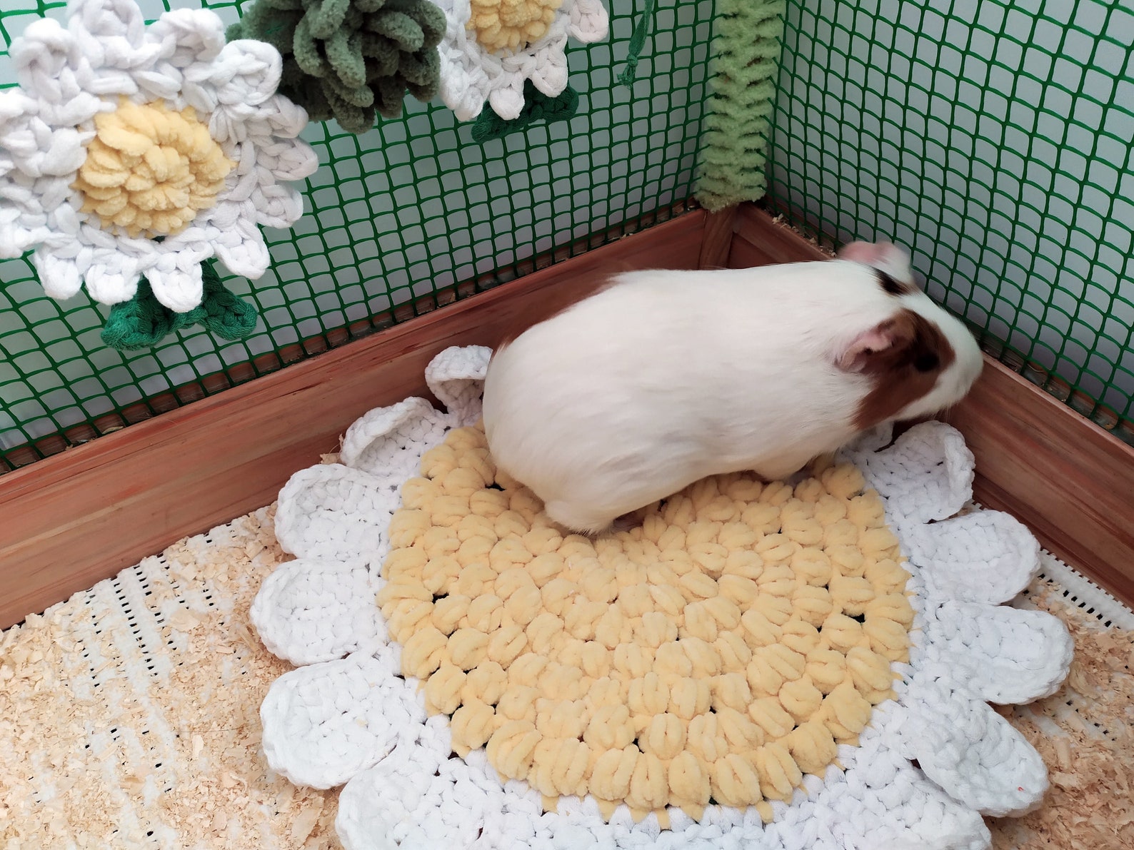 Daisy Guinea Pig Cozy Soft Bed. Small Pet Soft Bed. Etsy