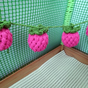 Guinea pig raspberry garland for cage. Guinea pigs accessories. Small pet toys.