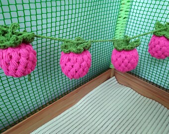 Guinea pig raspberry garland for cage. Guinea pigs accessories. Small pet toys.
