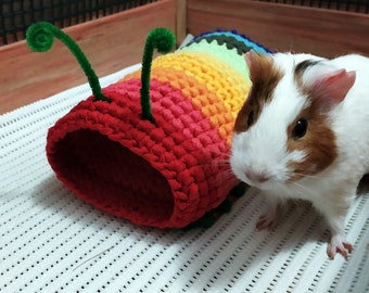 Guinea pig rainbow caterpillar Tunnel! Funny guinea pig accessories in cage!