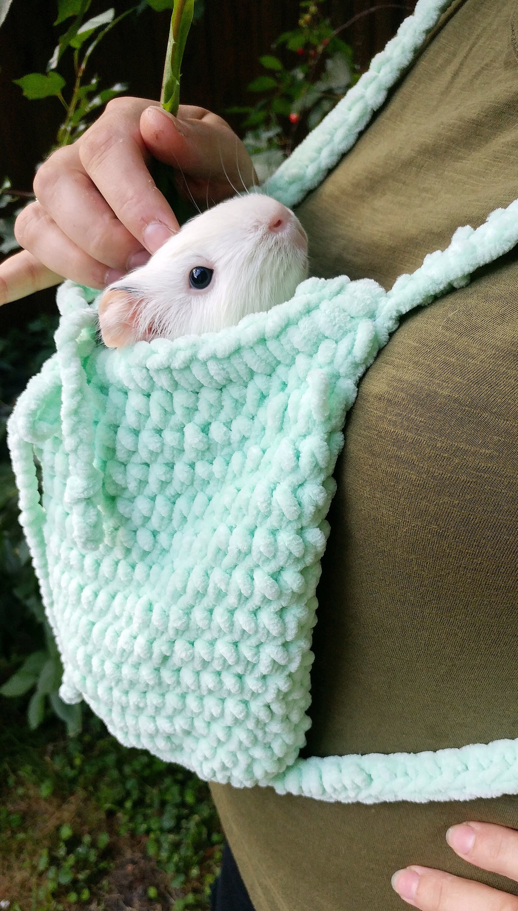 Guinea Pig Mint Carrier. Small Pet Soft Cozy Carrier. Etsy