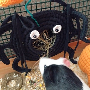 Spider hay bag for guinea pig or other small pets. Fanny Halloween pet gift. Guinea pig Halloween