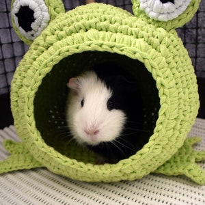 Guinea pig frog house for cage. Small pet house. Funny guinea pig gift image 3