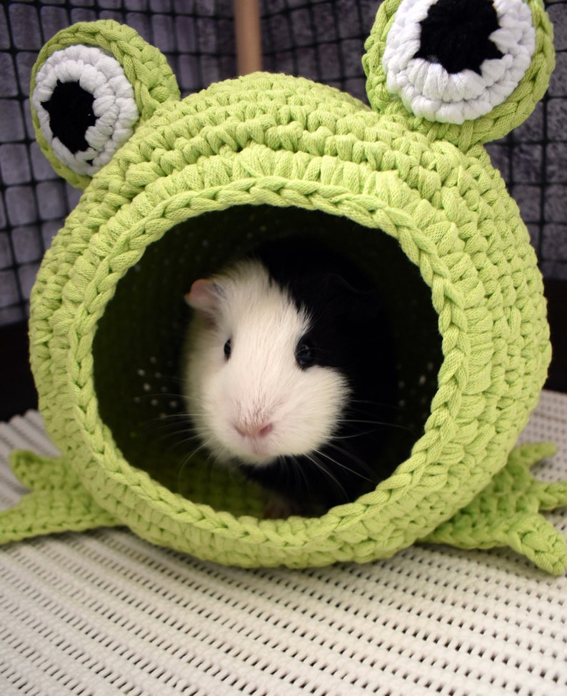 Guinea pig frog house for cage. Small pet house. Funny guinea pig gift image 3