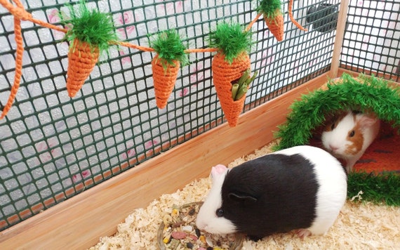 Guinea pig garland for cage. Guinea 