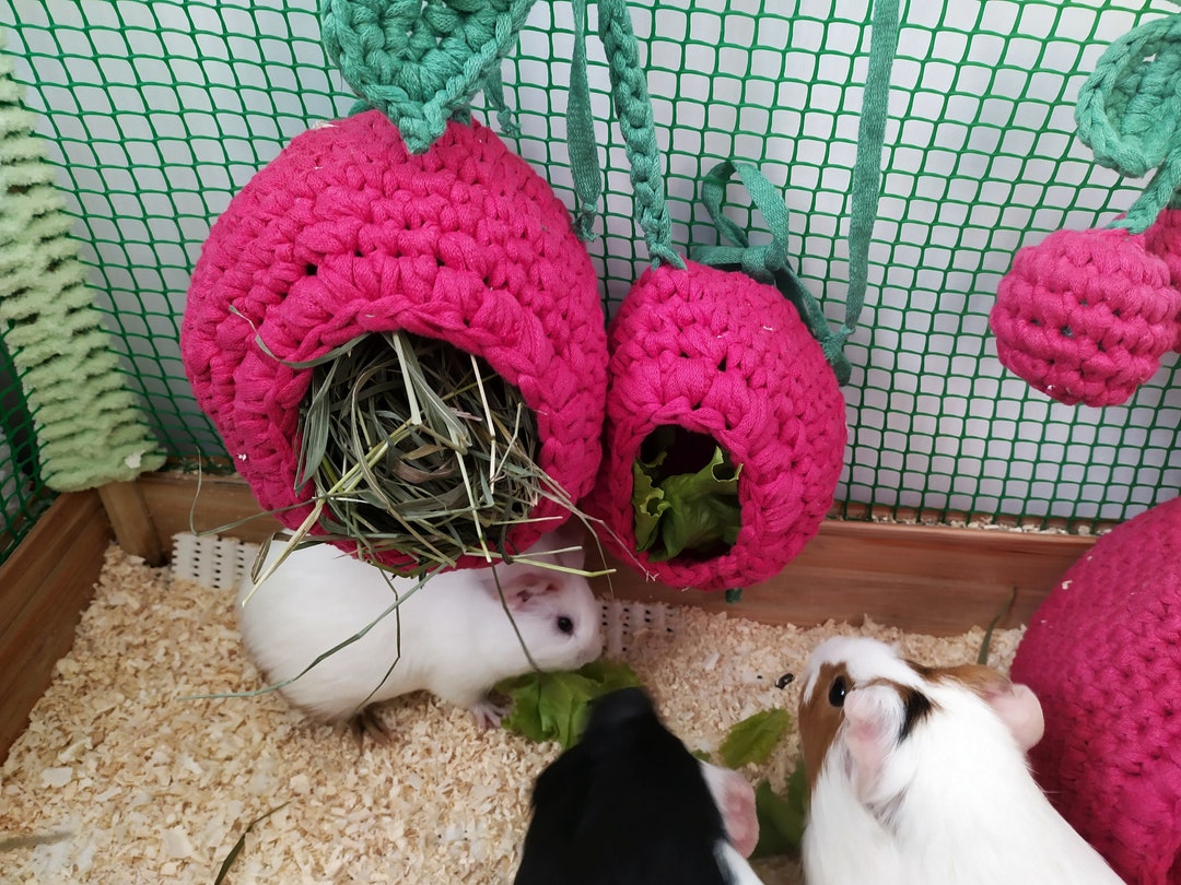 Guinea Pig Cherry Hay Feeder: Small Pet Cage Accessories - Etsy