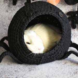 Guinea Pig Spider House  Halloween gift Scary house Funny Halloween house for your pet Halloween 2024