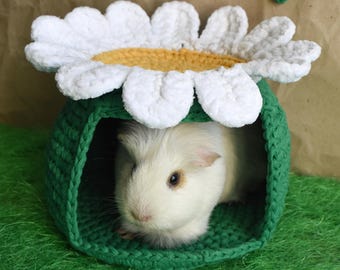 May include: A white guinea pig with brown eyes sits inside a green and white crocheted daisy flower bed.