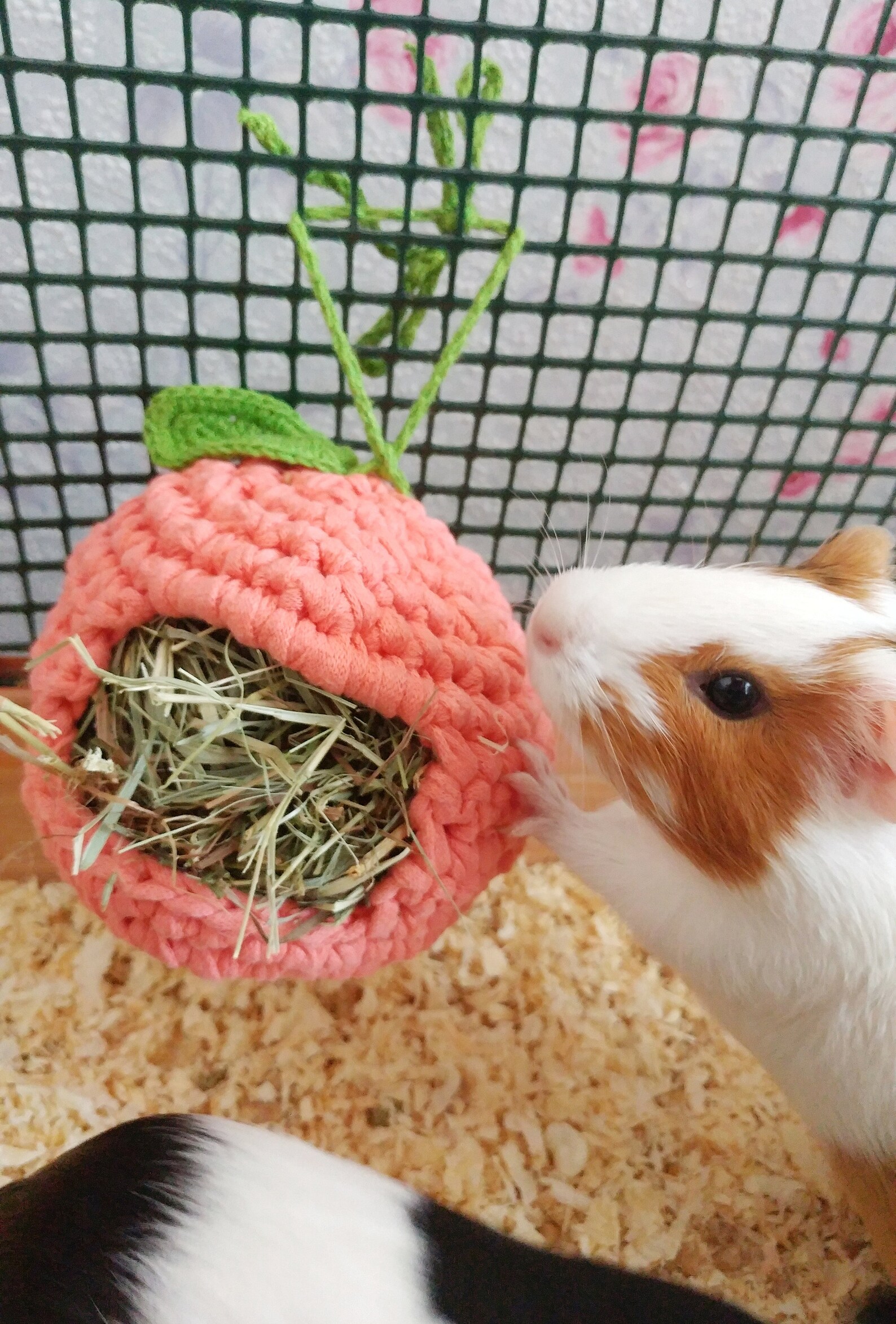 Guinea pig hay feeder. Guinea pig apple hay bag. Small pet Etsy