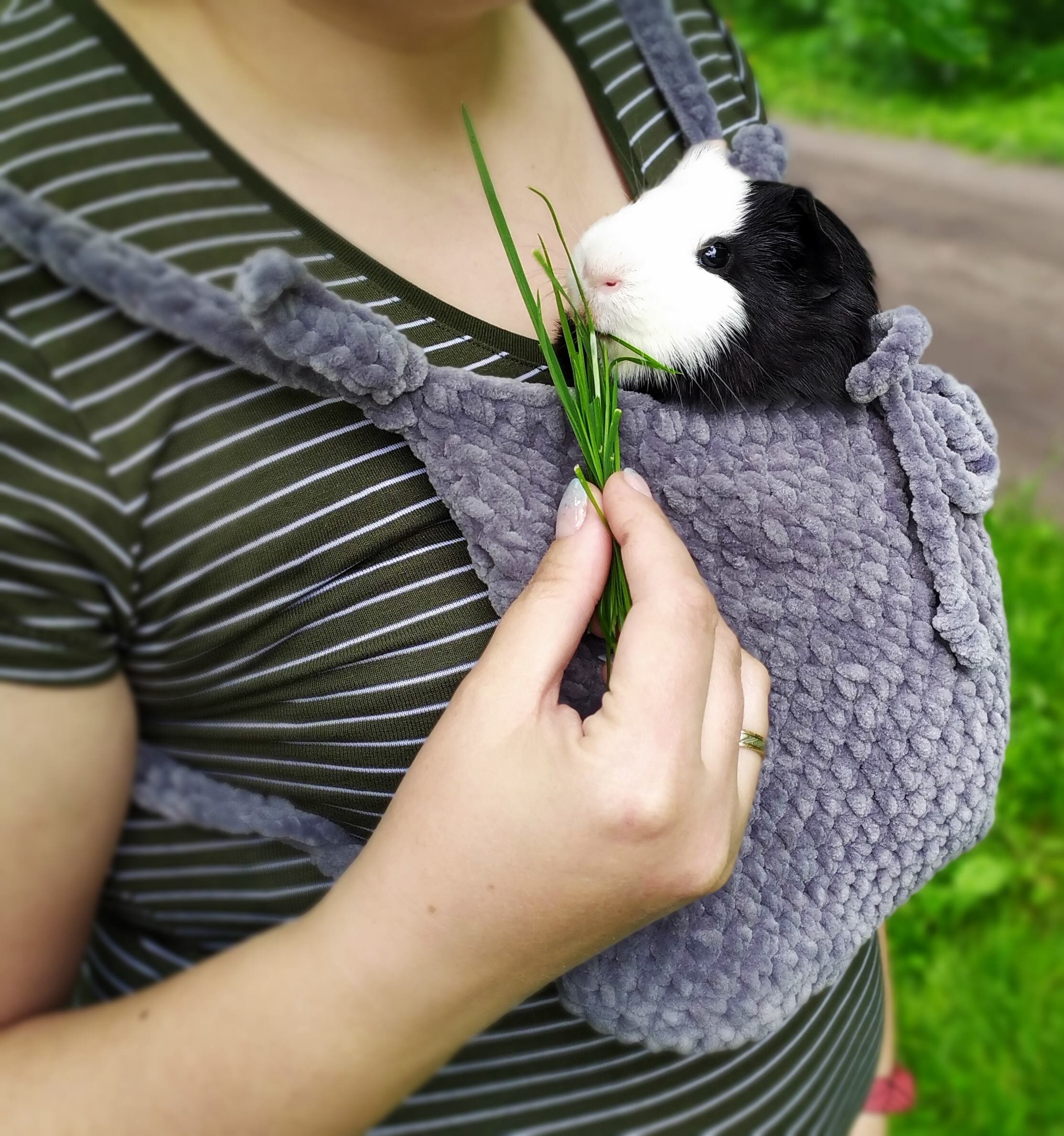 Guinea pig gray carrier Small pet soft cozy carrier Etsy