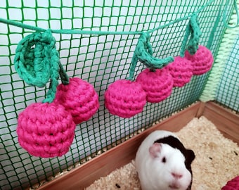 Guinea pig cherry garland for cage. Guinea pigs accessories. Small pet toys.
