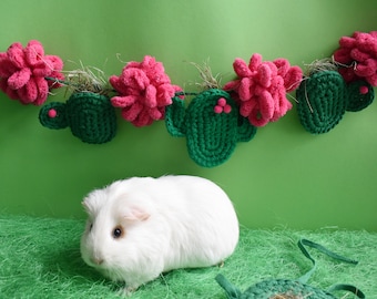 Guinea pig Cactus garland toy for cage. Guinea pigs accessories. Small pet toys.