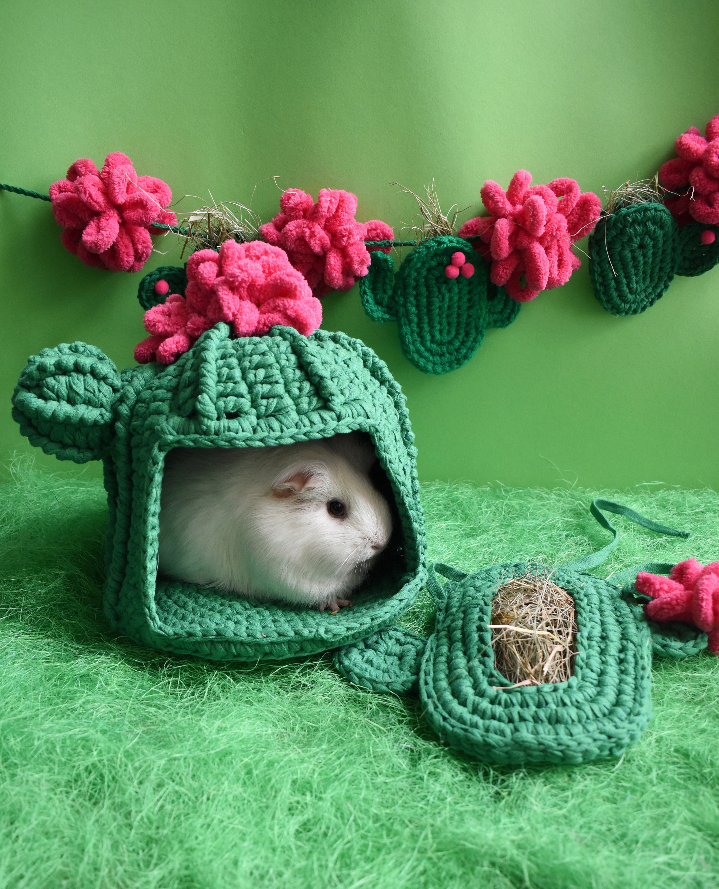 Cactus Guinea Pig Cage Accessories House, Hay Bag & Garland
