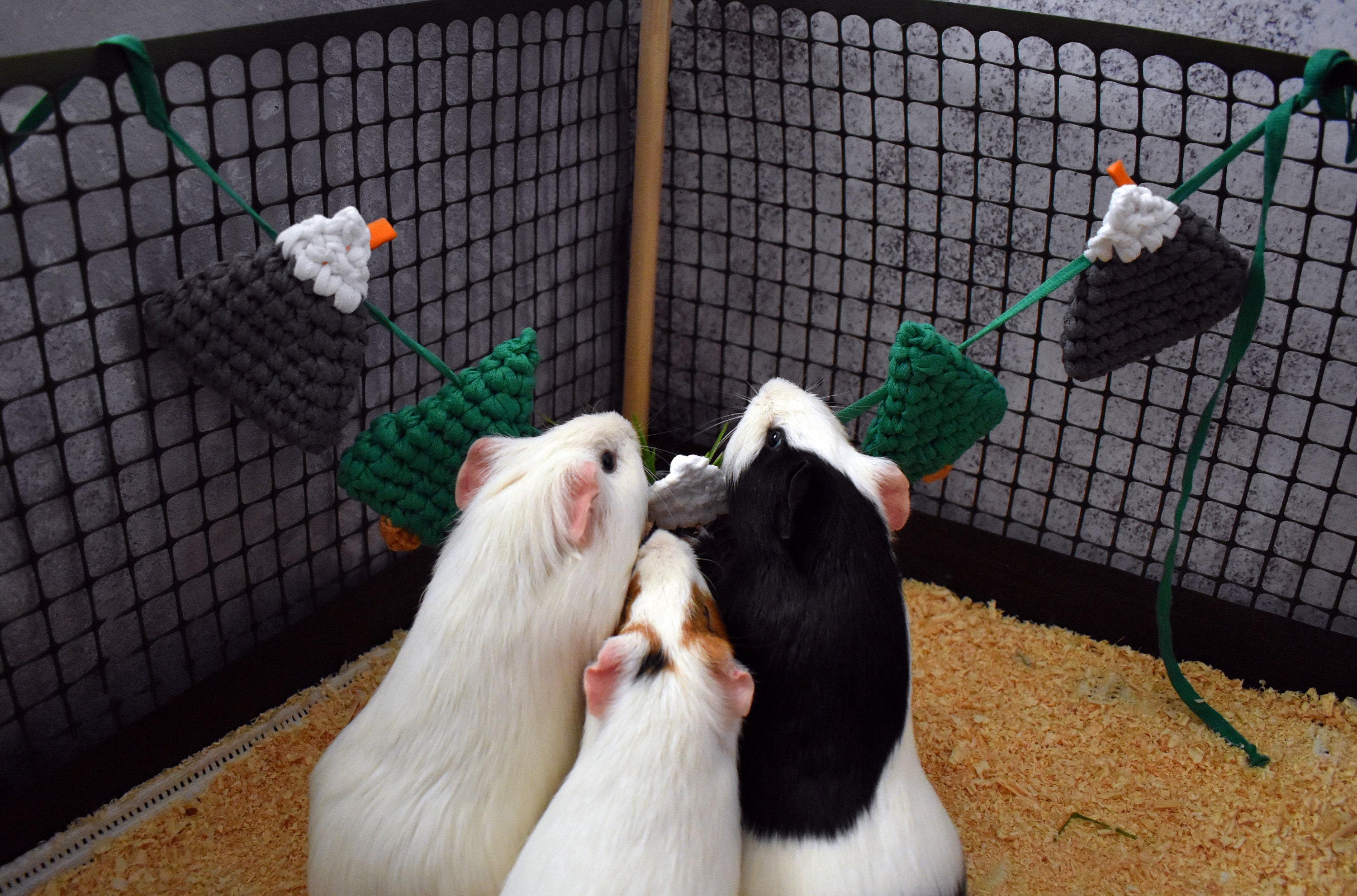 Guinea Pig Hay Bag and Garland Toy for Cage Guinea Pigs Set Etsy