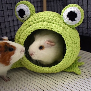Guinea pig frog house for cage. Small pet house. Funny guinea pig gift!