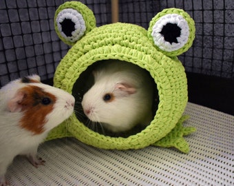 Guinea pig frog house for cage. Small pet house. Funny guinea pig gift!