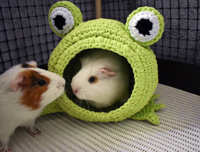 Guinea pig frog house for cage. Small pet house. Funny guinea pig gift image 1