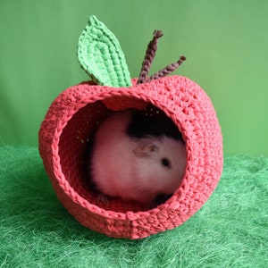 Guinea pig red apple house for cage. Small pet house. Funny guinea pig gift image 4