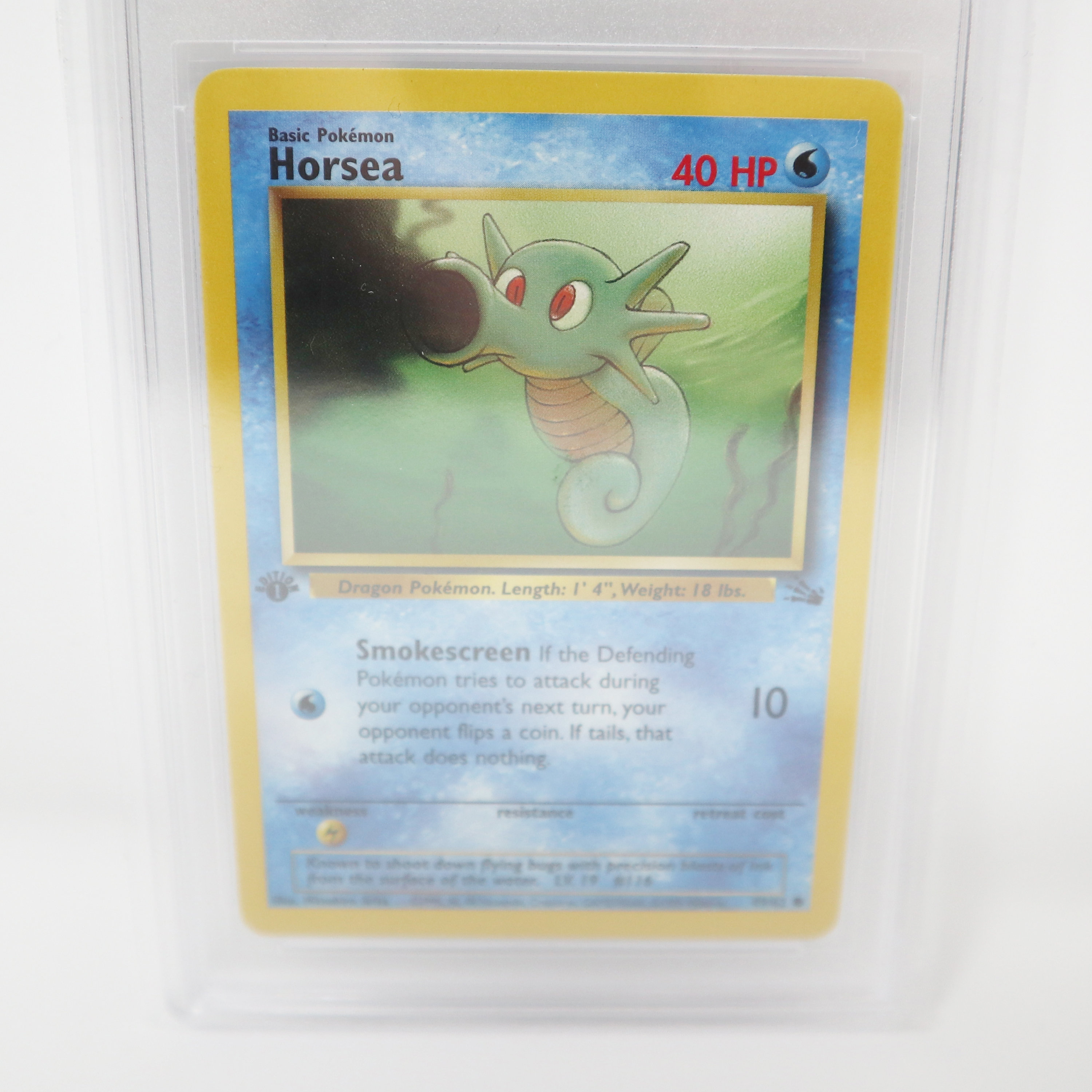 Vintage 1999 90s Nintendo Pokemon Horsea 1st Edition 49/62 Fossil Trading Game Card Get Graded Near Mint 8 Rare - Etsy Vintage 1999 90s Nintendo Pokemon Horsea 1st Edition 49/62 Fossil Trading Game Card Get Graded Near Mint 8 Rare - Etsy