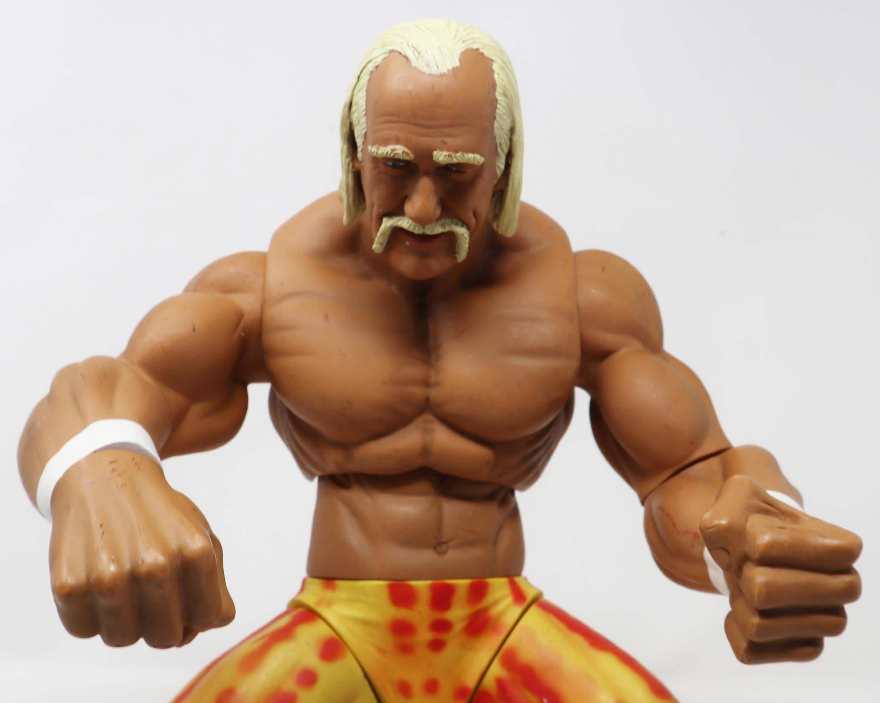 2005 JAKKS WWE World Wrestling Entertainment Ring Giants Hulk