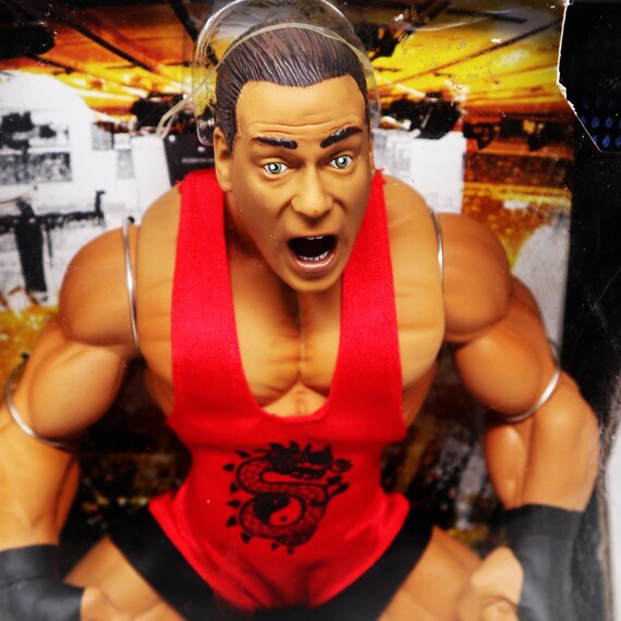 2006 JAKKS WWE World Wrestling Entertainment Ring Giants Rob Van