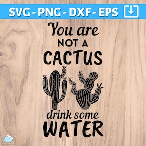 Wasserflasche SVG PNG | Du bist kein Kaktus, trink etwas Wasser SVG | Trinken Sie mehr Wasser png | Cricut-Schnittdatei für Wasserflasche | Becher-Svg