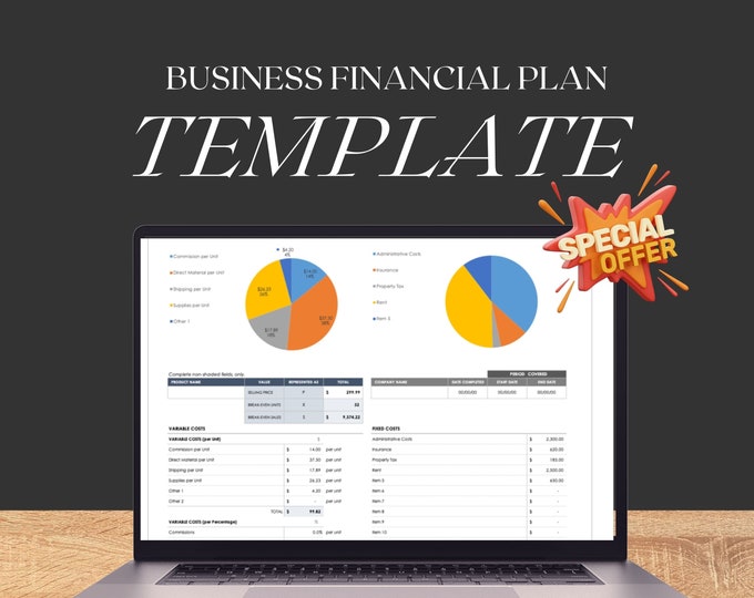 Business Financial Planner | Small Business Finance Template | All-in-One Budget Plan Printable, Monthly Trackers | Annual Overview
