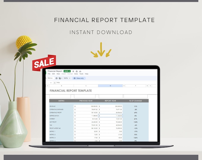 Financial Report Template for Business Analysis - Customizable Excel Spreadsheet for Detailed Financial Analysis