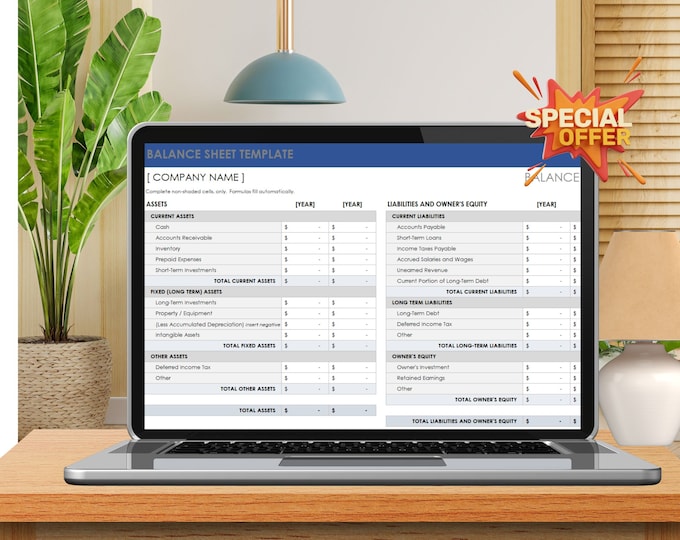 Professional Balance Sheet Excel Template | Financial Management Tool for Businesses | Instant Digital DownloadDigital Downloads