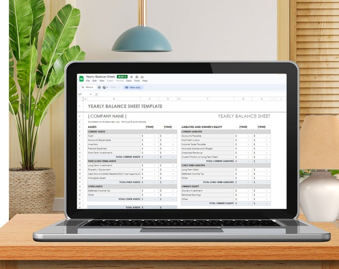 Professional Yearly Balance Sheet Template | Financial Planner's Essential Tool | Digital DownloadDigital Downloads