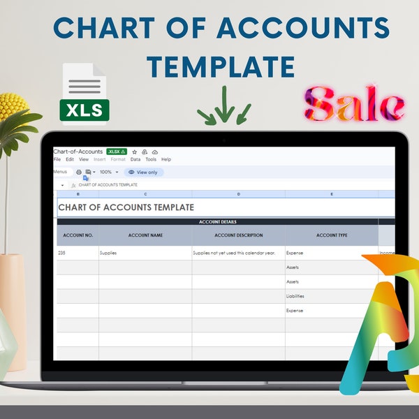Chart of Accounts - Digital Download - Compatible with Google Sheets/Excel