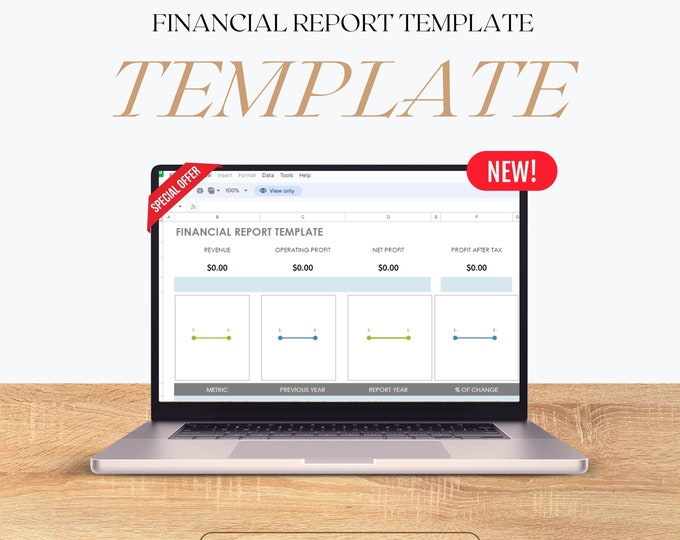 FINANCIAL REPORT TEMPLATE -  Excel Spreadsheet for Financial Reports, Budgeting Template, Business Finance Tool for Excel