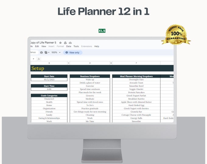 12-in-1 Life Planner Spreadsheet, Habit Tracker, Budget, Meal Planner (Digital Download)