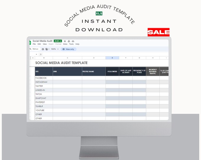 Social Media Audit Template, Social Analytics Excel Editable, Social Manager, Virtual Assistant Business Template