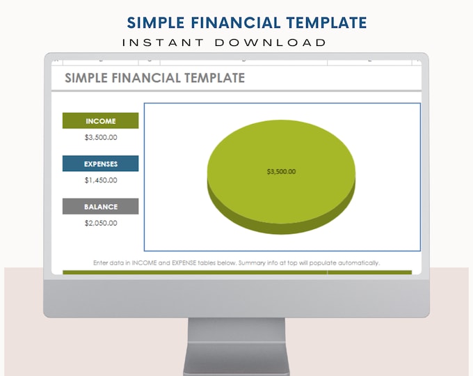 Financial Template 2024 - Download and Track Income & Expenses in Minutes