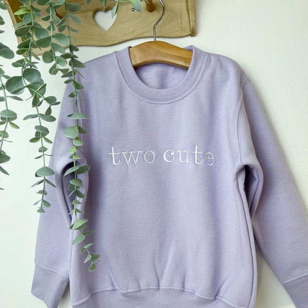 Two Cute Birthday Jumper Embroidered Sweatshirt