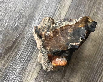 Fossilized Wood, Petrified Wood, Healing Crystal