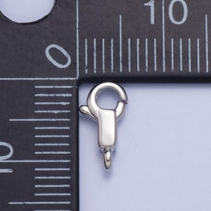 May include: Silver-toned metal clasp with a spring-loaded closure. The clasp is approximately 2.5 cm in length.