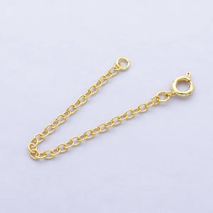 May include: A gold chain extender with a lobster clasp and a jump ring. The extender is about 2 inches long.