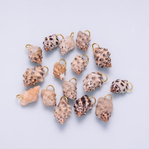 May include: A collection of small, natural seashells with gold-colored metal loops attached. The shells vary in color, with patterns of brown, tan, and white. These decorative shells are ideal for jewelry making or craft projects.