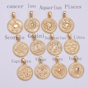 Dainty Zodiac Horoscope Sign Constellation Medallion Pendant Charm Textured Coin Decorative Edge for Necklace Jewelry Making, Zo- 9