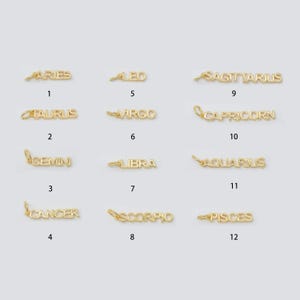 Gold zodiac constellation charms small astrology words charms horoscope charm, add on charm for bracelet necklace supply silver charm