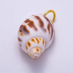 May include: A white and brown seashell pendant with a gold-colored loop. The shell has a spiral shape with brown markings and a smooth, glossy surface. The pendant is a natural, organic design.